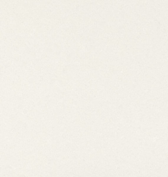Organic White 1